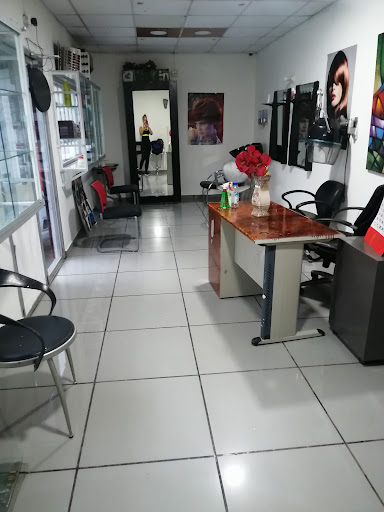 Salon lenyi