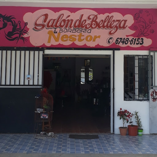 SALÓN DE BELLEZA NESTOR