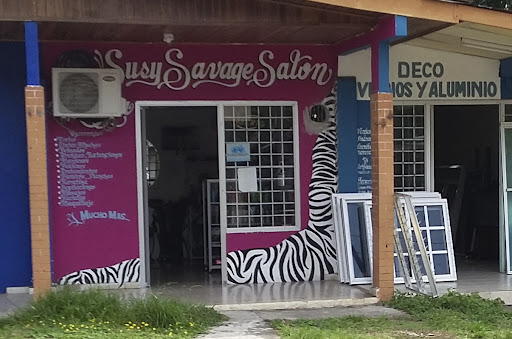 Susy Savage Salon