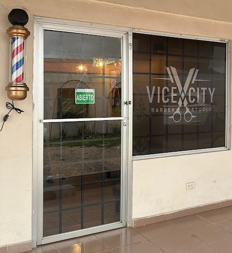 VICE CITY BARBER STUDIO