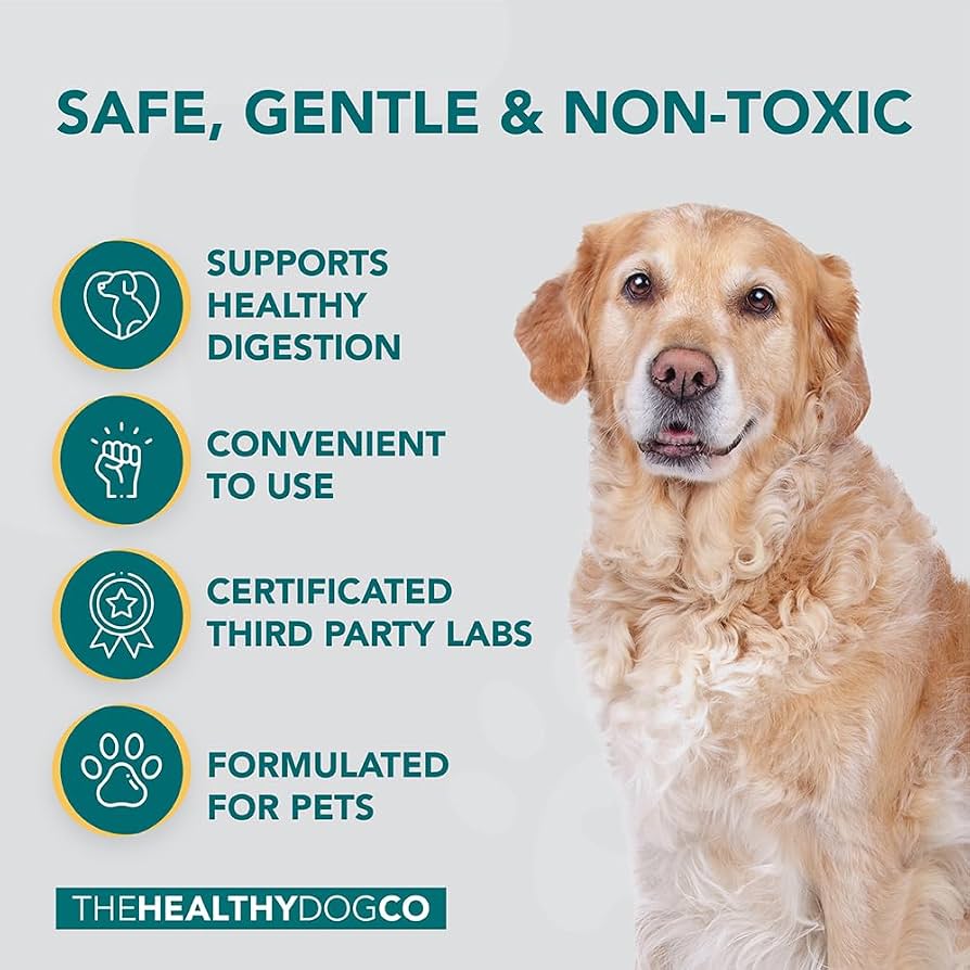 Opinión de Healthy dog 1 Opinión de Healthy Dog: Análisis y Reseña Detallada
